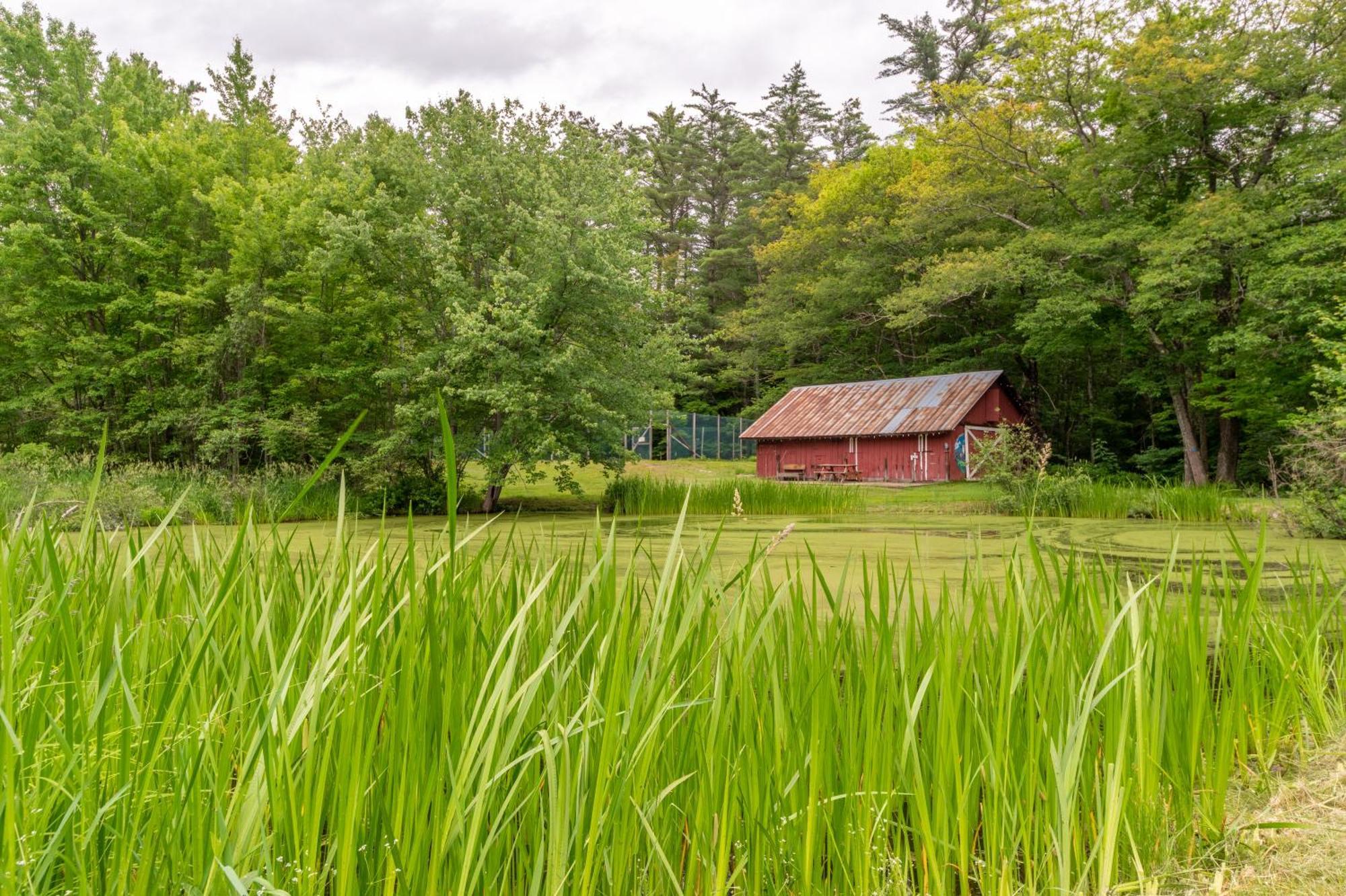 Cranmore Mountain Lodge Bed & Breakfast North Conway Exteriér fotografie